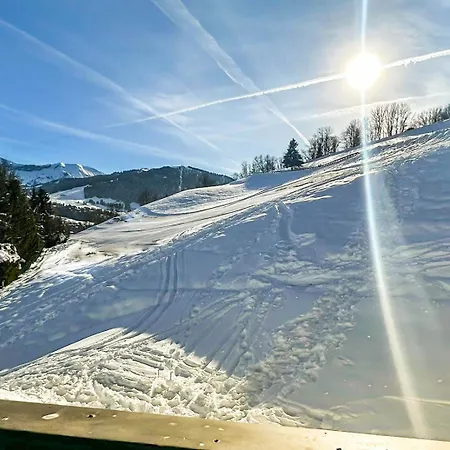 Orchidee Sur Les Pistes Chalet