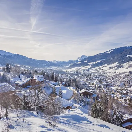 Orchidee Sur Les Pistes Megève