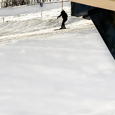 Orchidee Sur Les Pistes * Megève