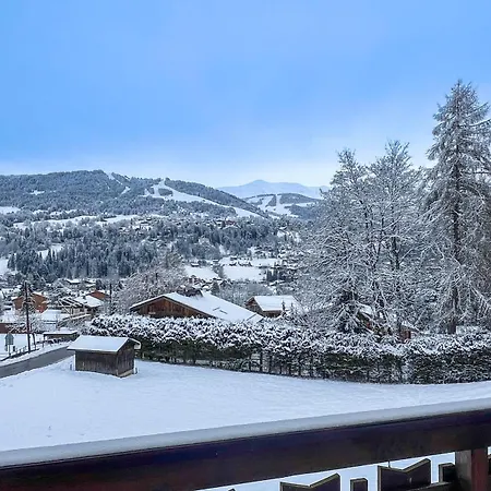 Orchidee Sur Les Pistes Chalet *