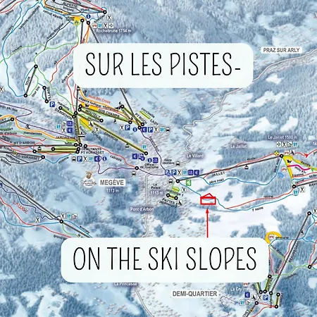 Orchidee Sur Les Pistes Megève