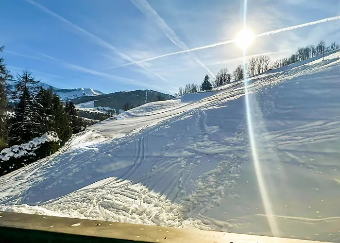 Orchidee Sur Les Pistes Alpehytte