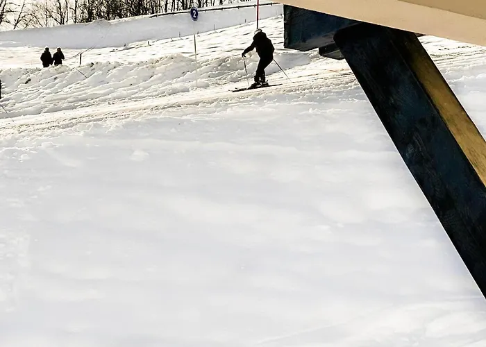 Orchidee Sur Les Pistes * موجوف